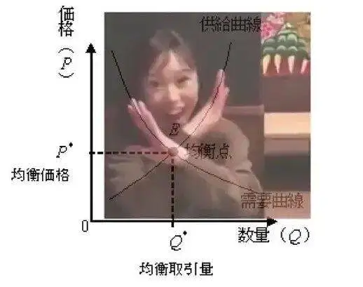 用户交流,动漫