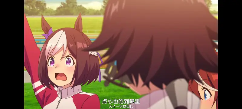 赛马娘,赛马娘PrettyDreby,动画,动漫,番剧,ACG
