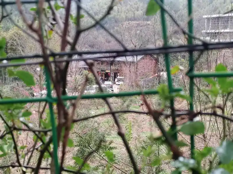 闲聊茶馆,郊野