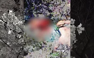 Sewerslvt|Child Sacrifice Sewerslvt|Child Sacrifice
