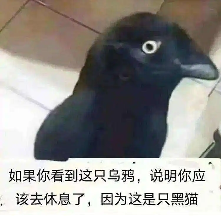 闲聊茶馆,早安,沙雕图