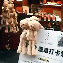 摄影
