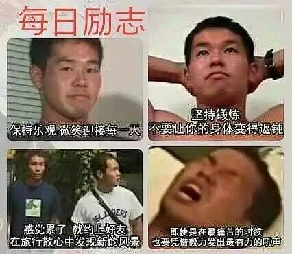 用户交流,鬼畜,御主