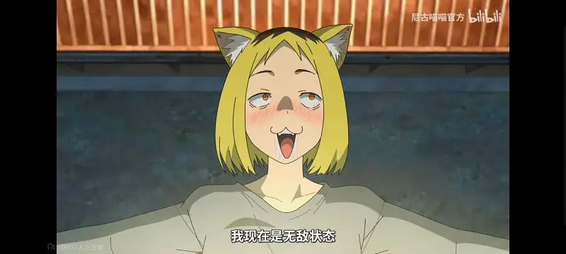 尼古喵喵,雅尼猫,动画,动漫,番剧,ACG,日漫,二次元