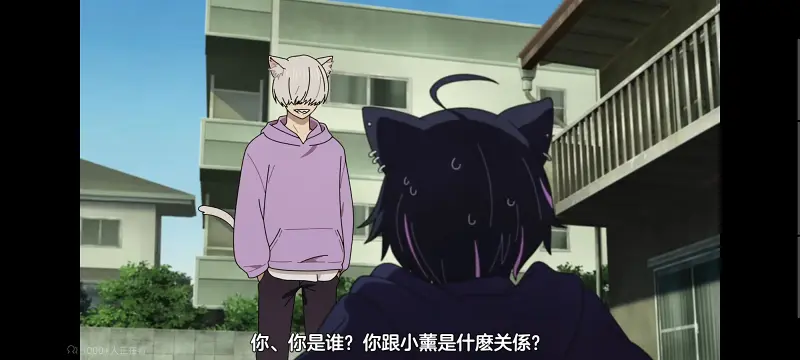 尼古喵喵,雅尼猫,动画,动漫,番剧,日漫,二次元,ACG