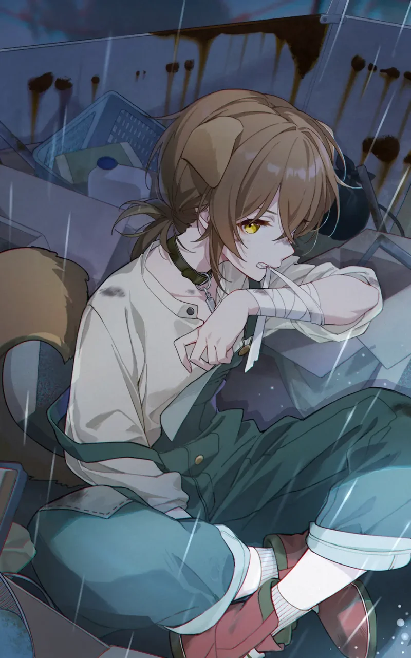 图