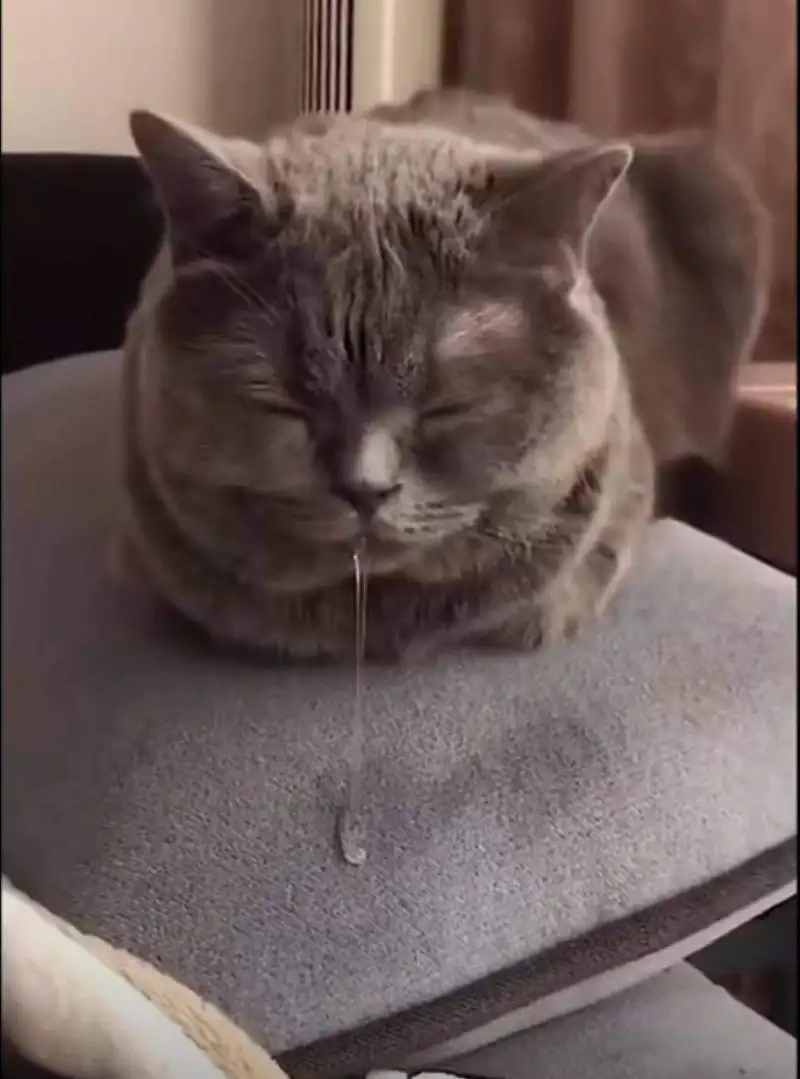闲聊茶馆