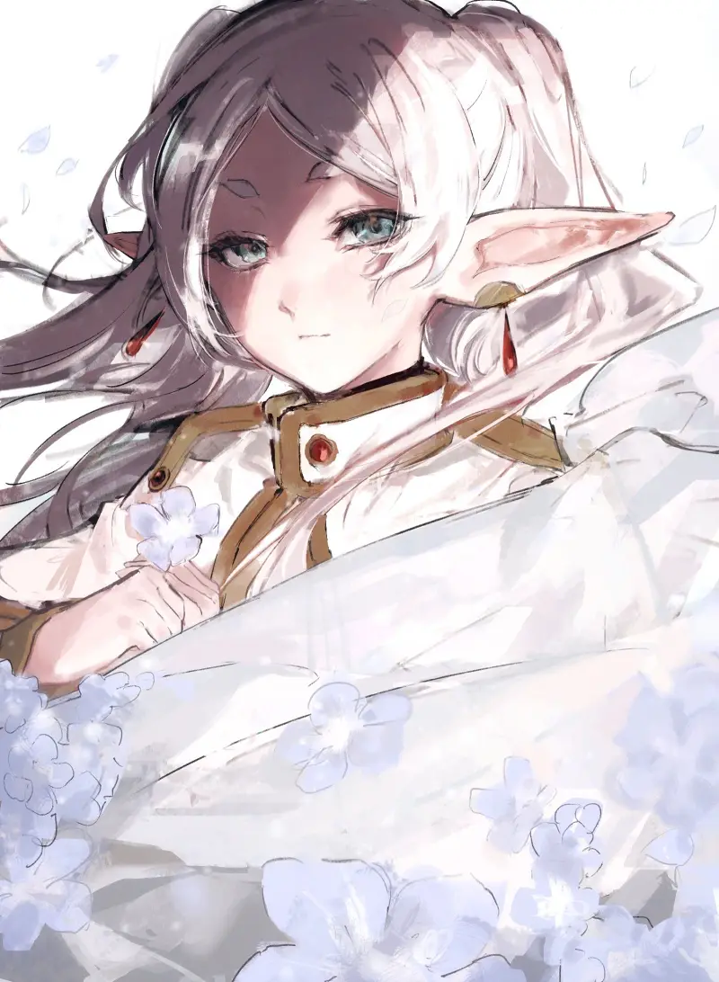 葬送的芙莉莲,葬送のフリーレン,芙莉莲,精灵,动漫壁纸,动漫美图,美图,壁纸,绘画,插画,推特,画师推荐,二次元美图,二次元壁纸