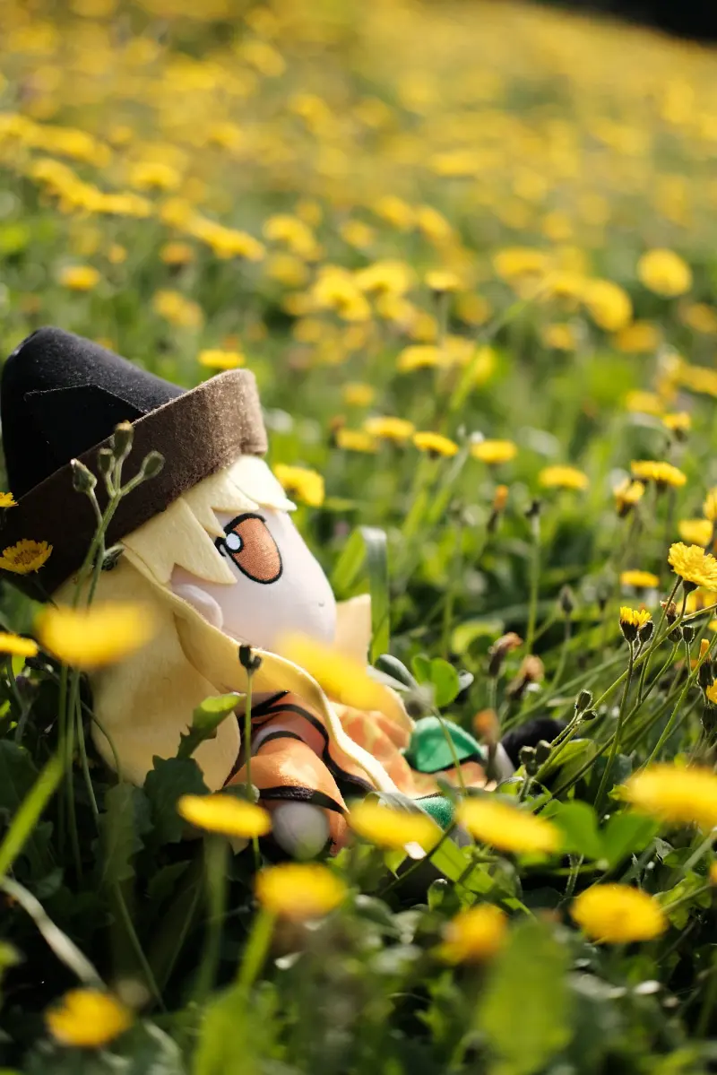 东方project,fumo