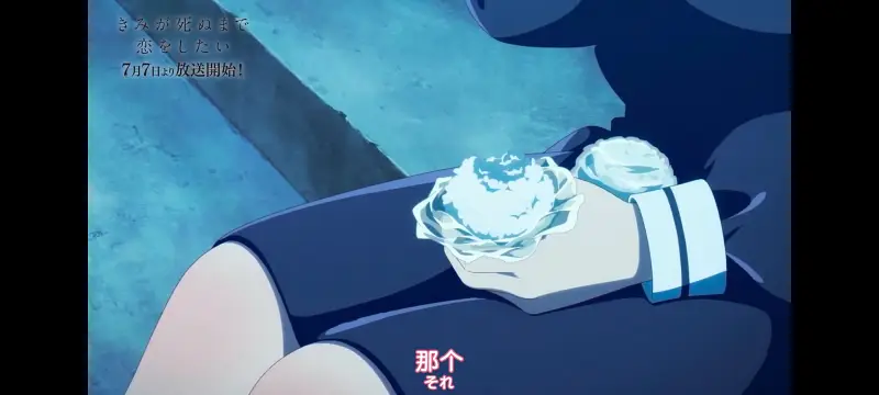 与你相恋到生命尽头,与你相恋到世界尽头,动画,动漫,番剧,百合,二次元,ACG
