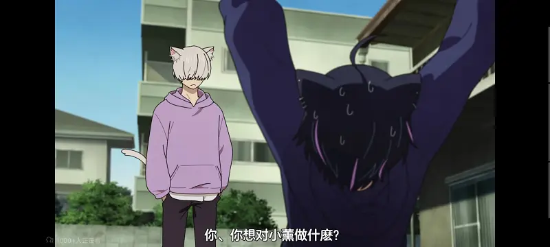 尼古喵喵,雅尼猫,动画,动漫,番剧,日漫,二次元,ACG