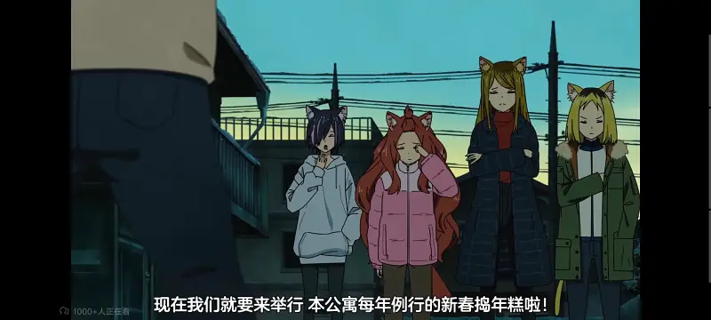 尼古喵喵,雅尼猫,动画,动漫,番剧,日漫,二次元,ACG