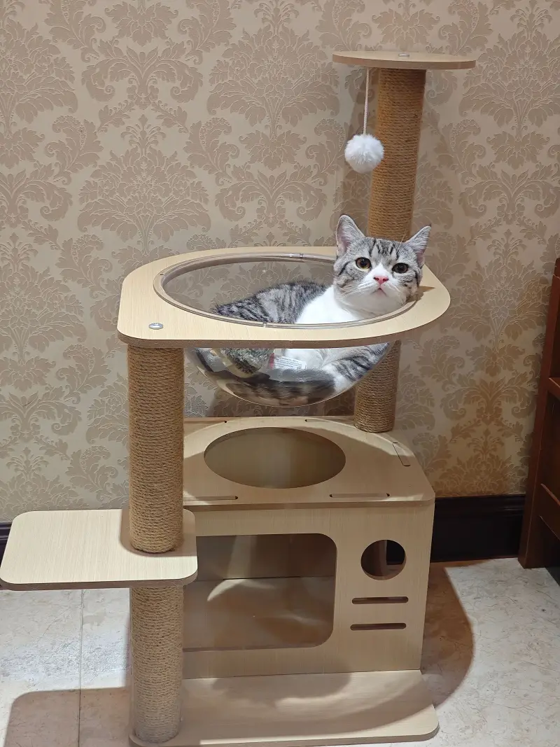 萌宠