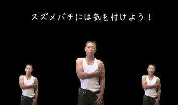 ［下北泽纪实］每说到「Bin」就会加速的被黄蜂刺中的勇作