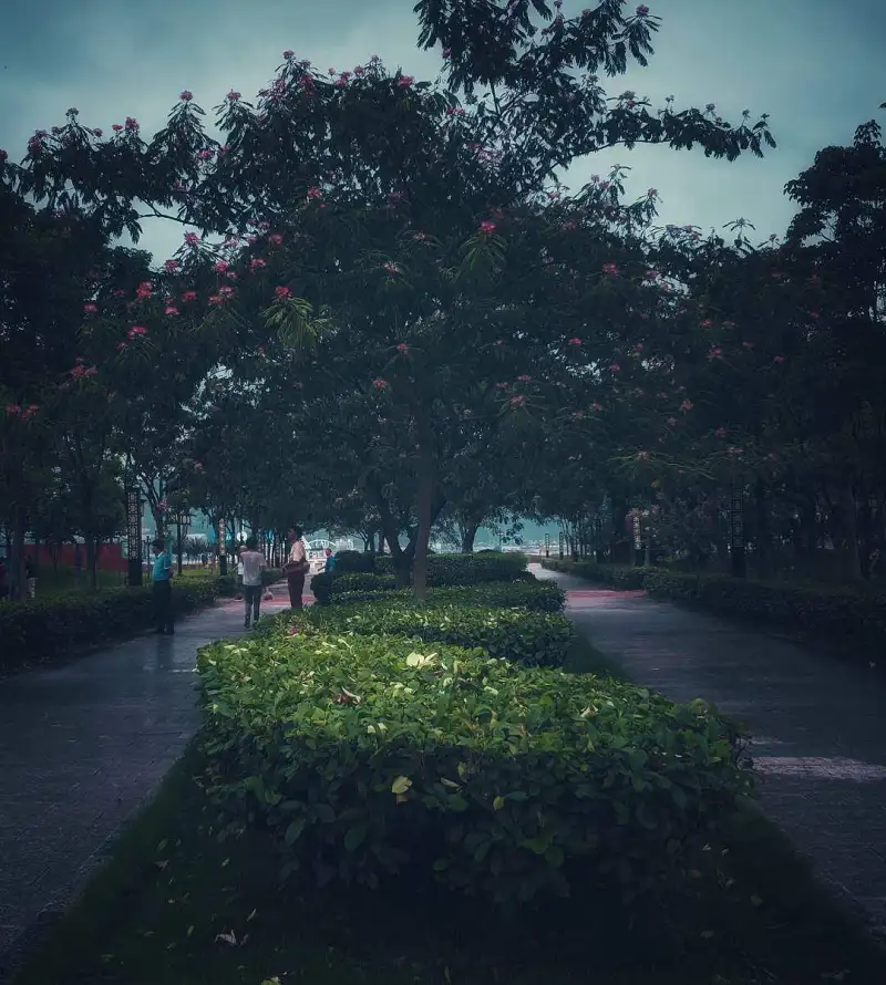 以前拍的照片