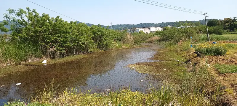 同桌