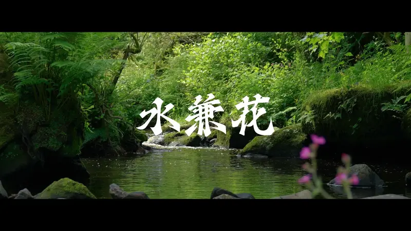 【诗岸原创】水兼花