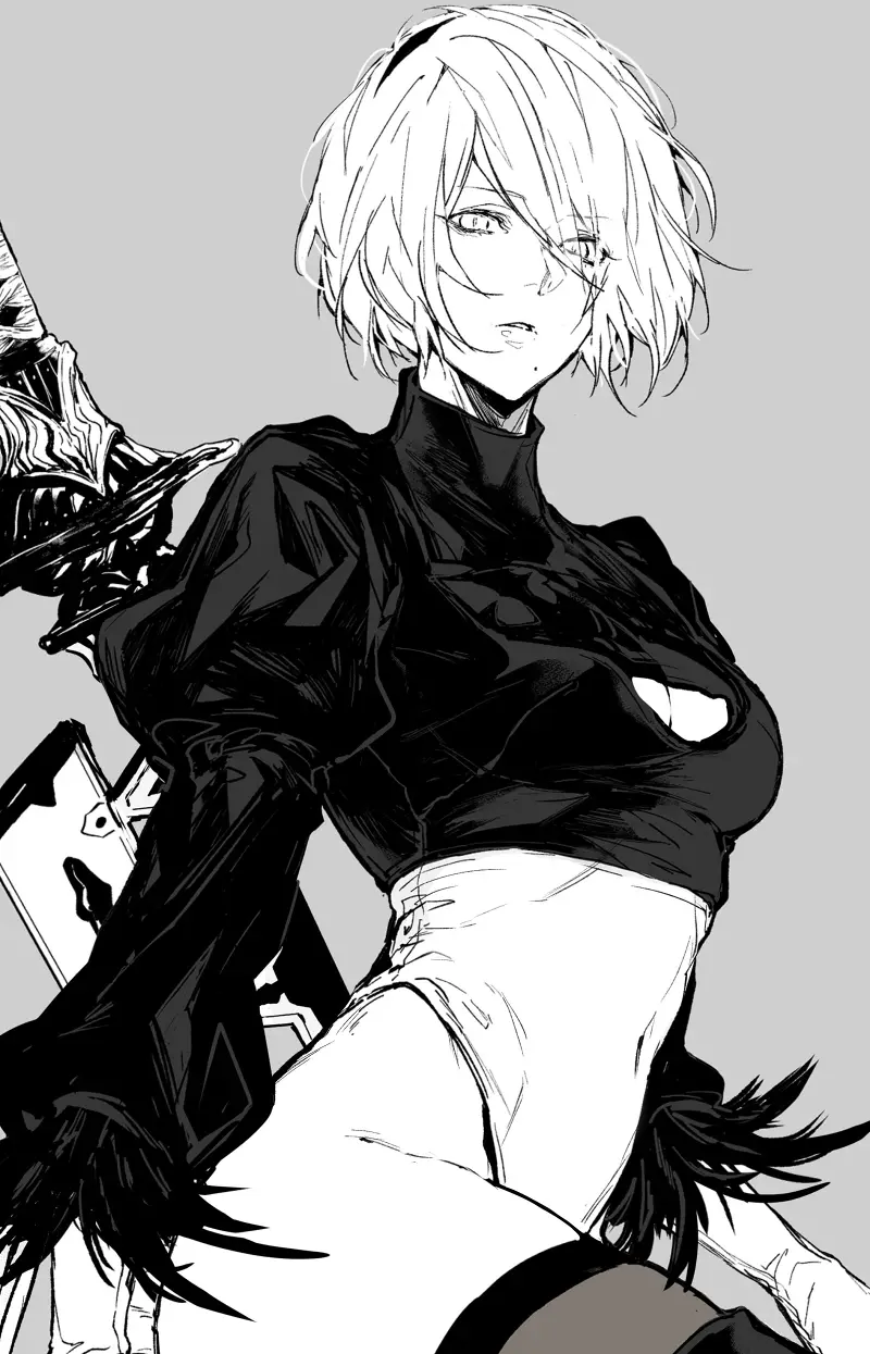 【尼尔：自动人形】2B