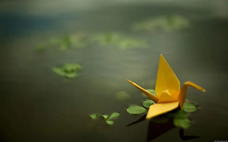 一些奇怪的动漫光盘（NG版，以后我会删除）