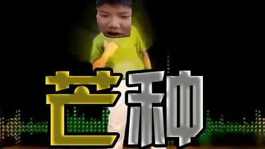 【张正】芒种