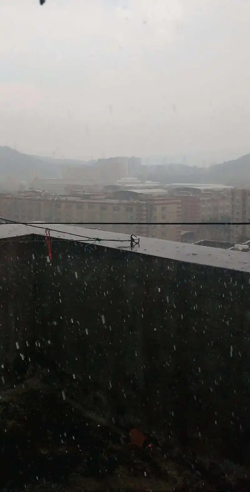 随手拍的