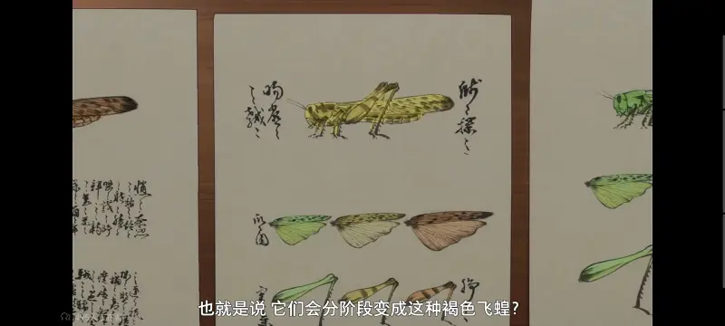 药屋少女的呢喃,药师少女的独语,动画,动漫,番剧,日漫,二次元,ACG