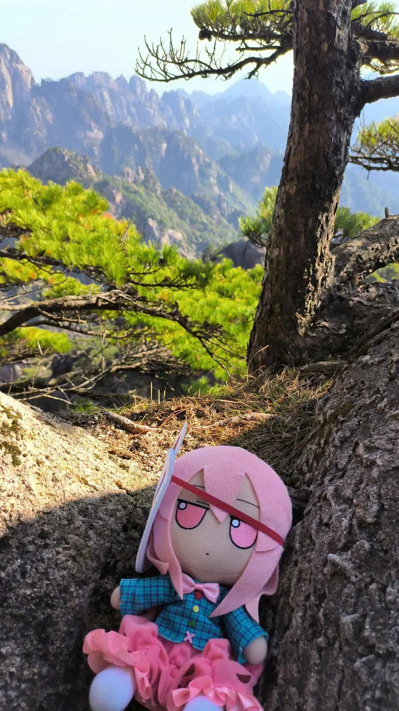 闲聊茶馆,秦心,FUMO,黄山