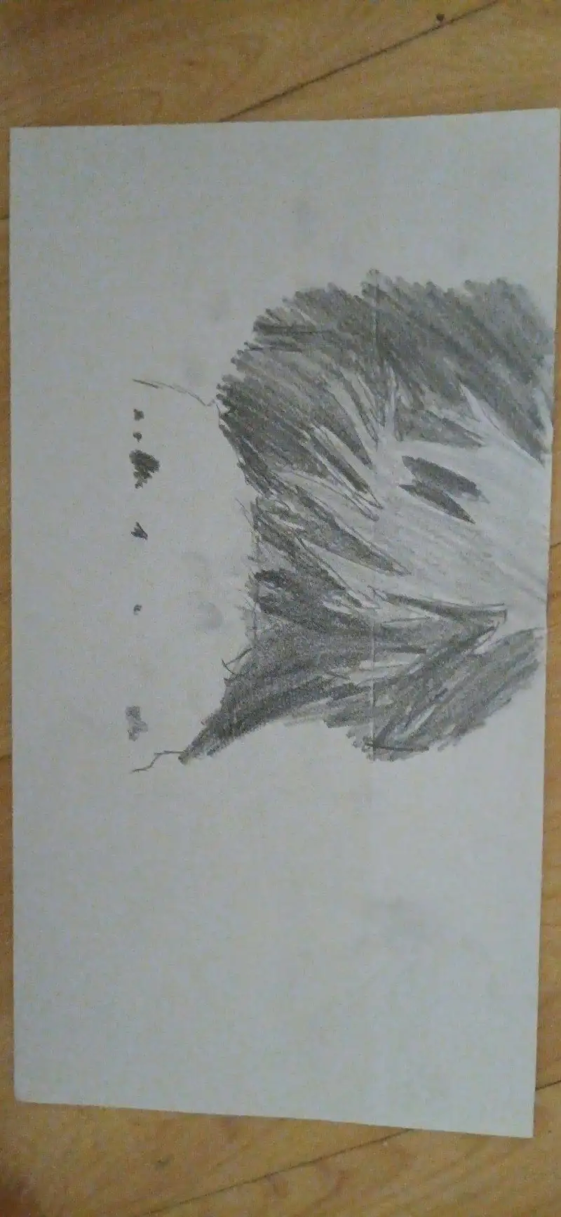 动漫专区,动漫,漫画