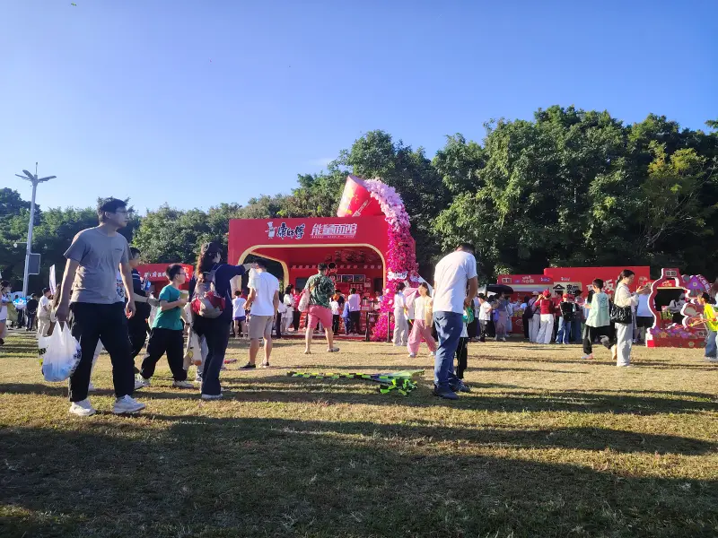生日,琪露诺,立冬