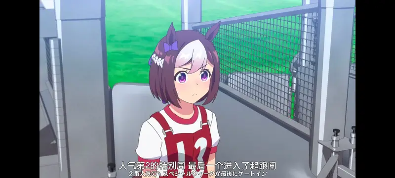 赛马娘,赛马娘PrettyDreby,动画,动漫,番剧,ACG