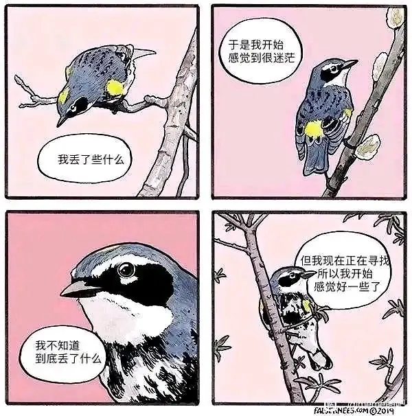 meme