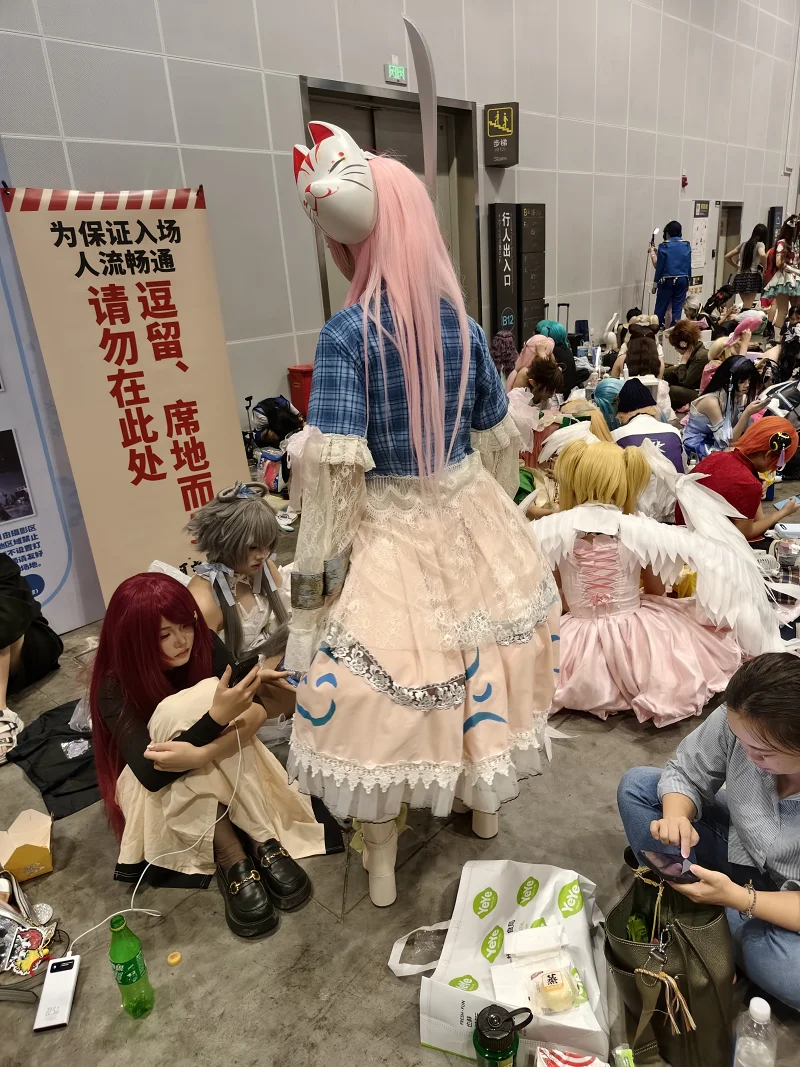 漫展,二次元,东方project,术力口,初音未来,镜音双子,特摄,奥特曼,Minecraft,痛车