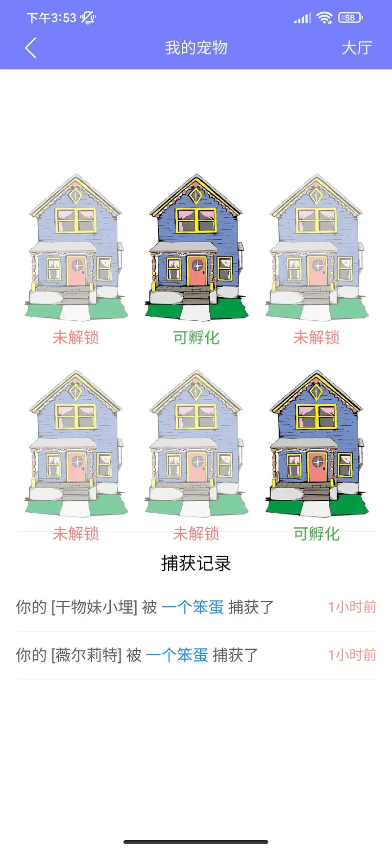 宠物