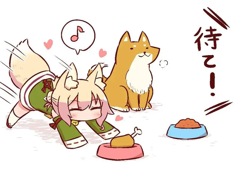 M站美图,宠物