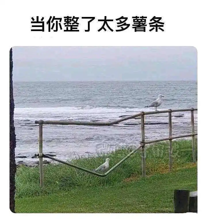 新人报道