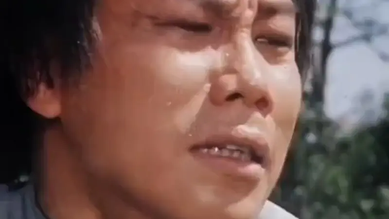 永远的陈真，致敬一代大侠梁小龙！