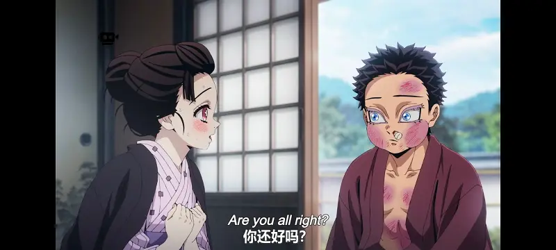 鬼灭之刃,鬼滅之刃,剧场版,鬼灭之刃无限城篇,动画,动漫,动画电影,日漫,ACG,二次元