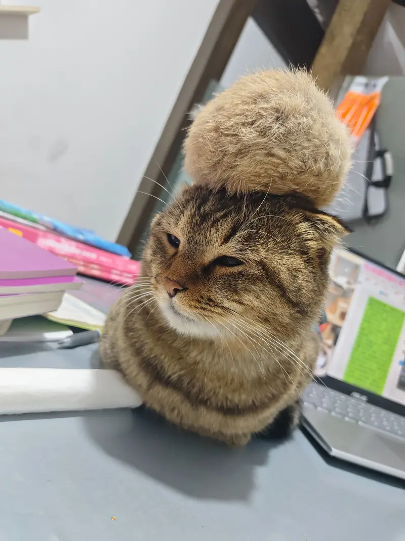 新人报道