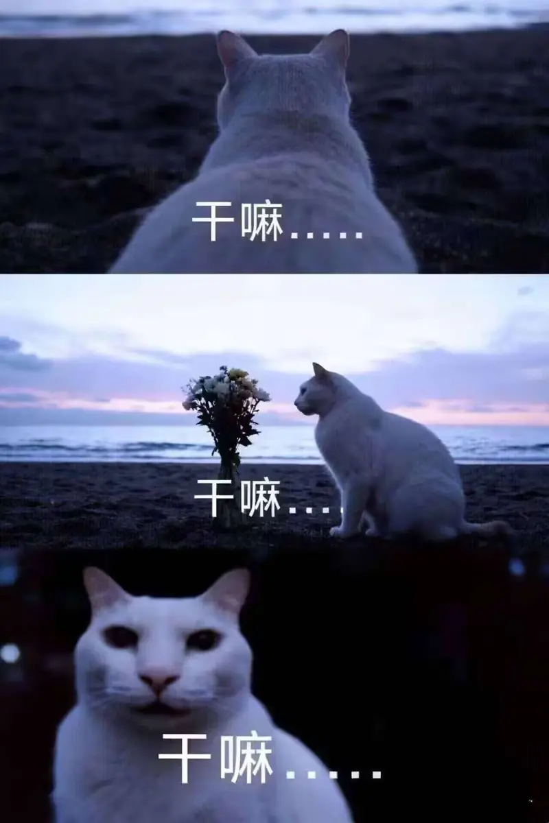 弔图,meme,迷因