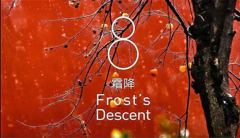闲聊茶馆,美图