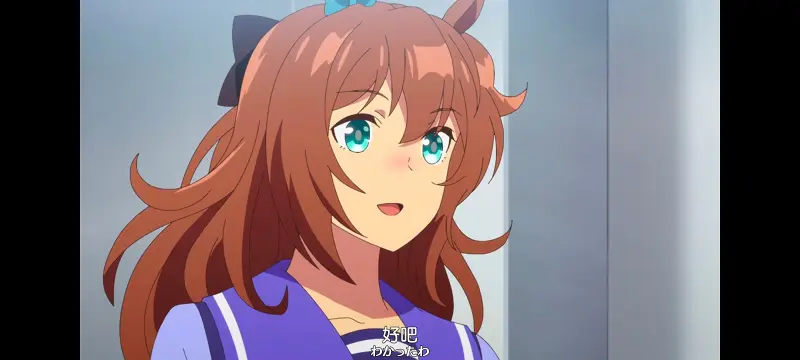 赛马娘,赛马娘PrettyDreby,动画,动漫,番剧,ACG