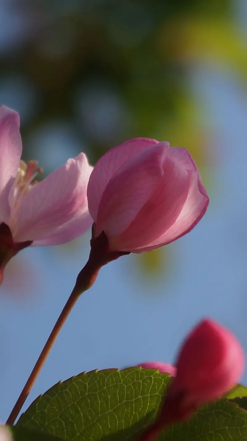 小丁日记