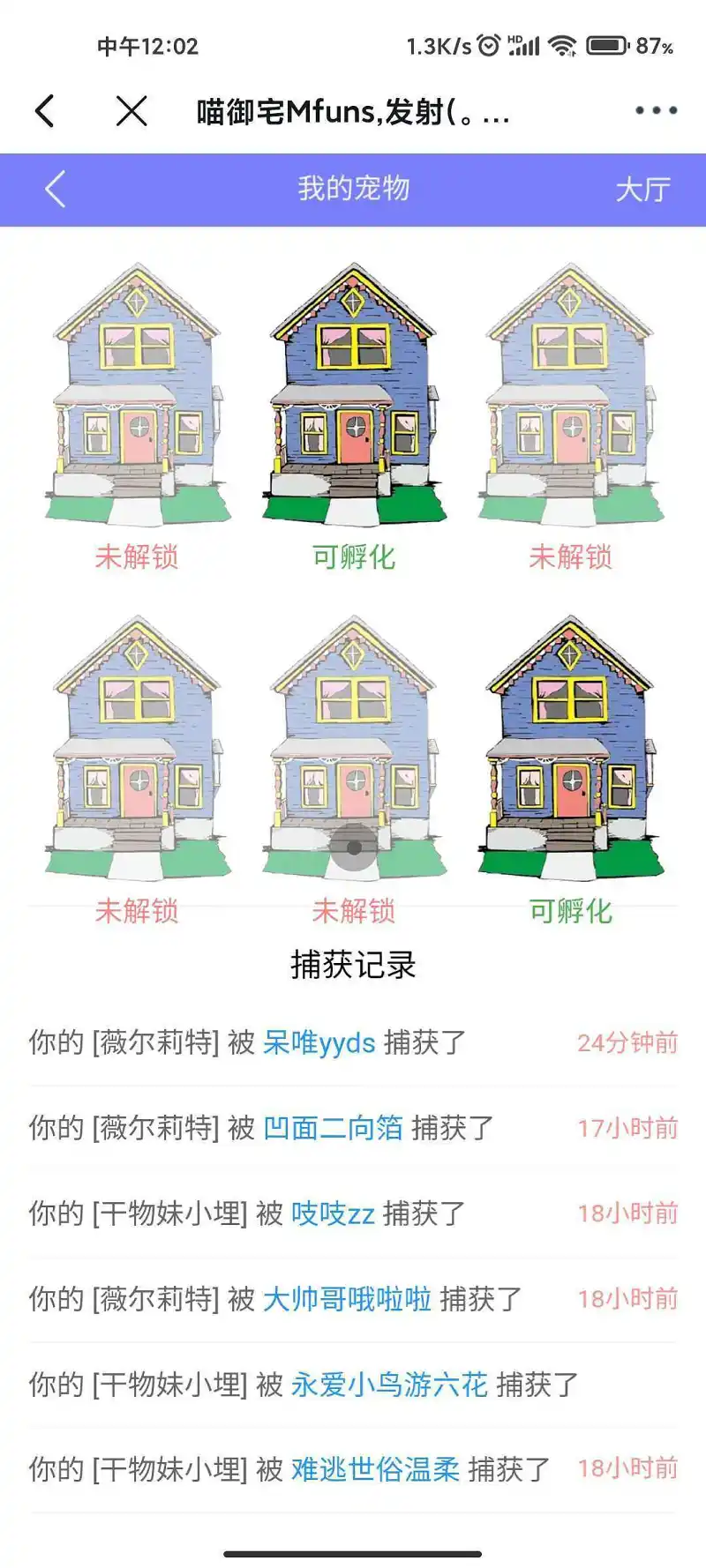 用户交流,宠物