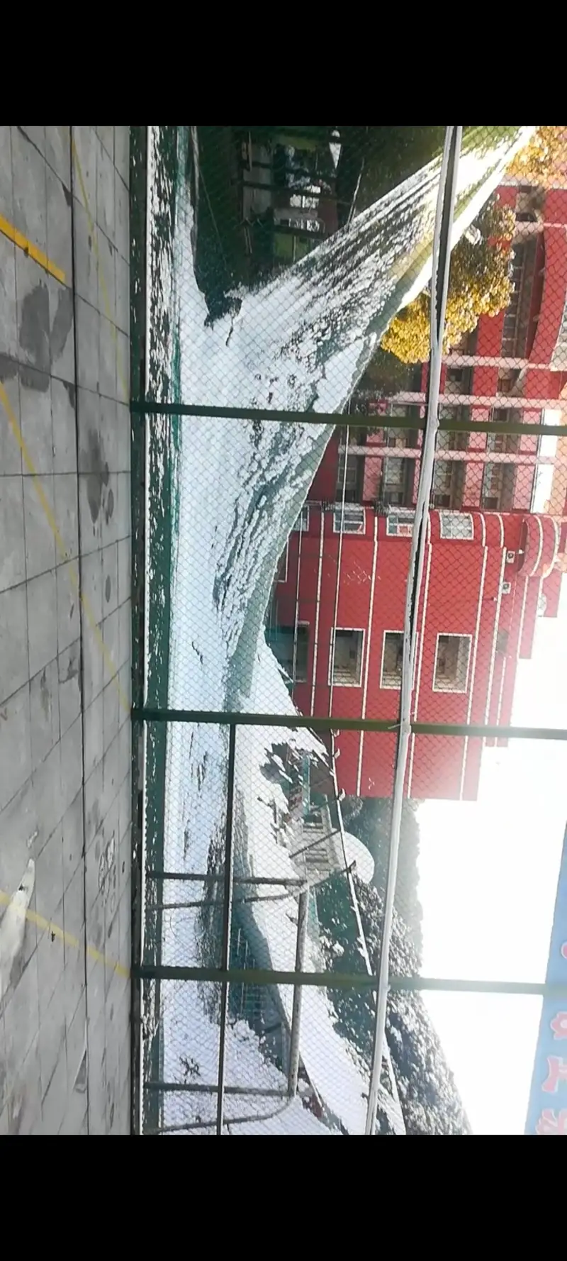 2024.1.23，第二次看到温州下雪