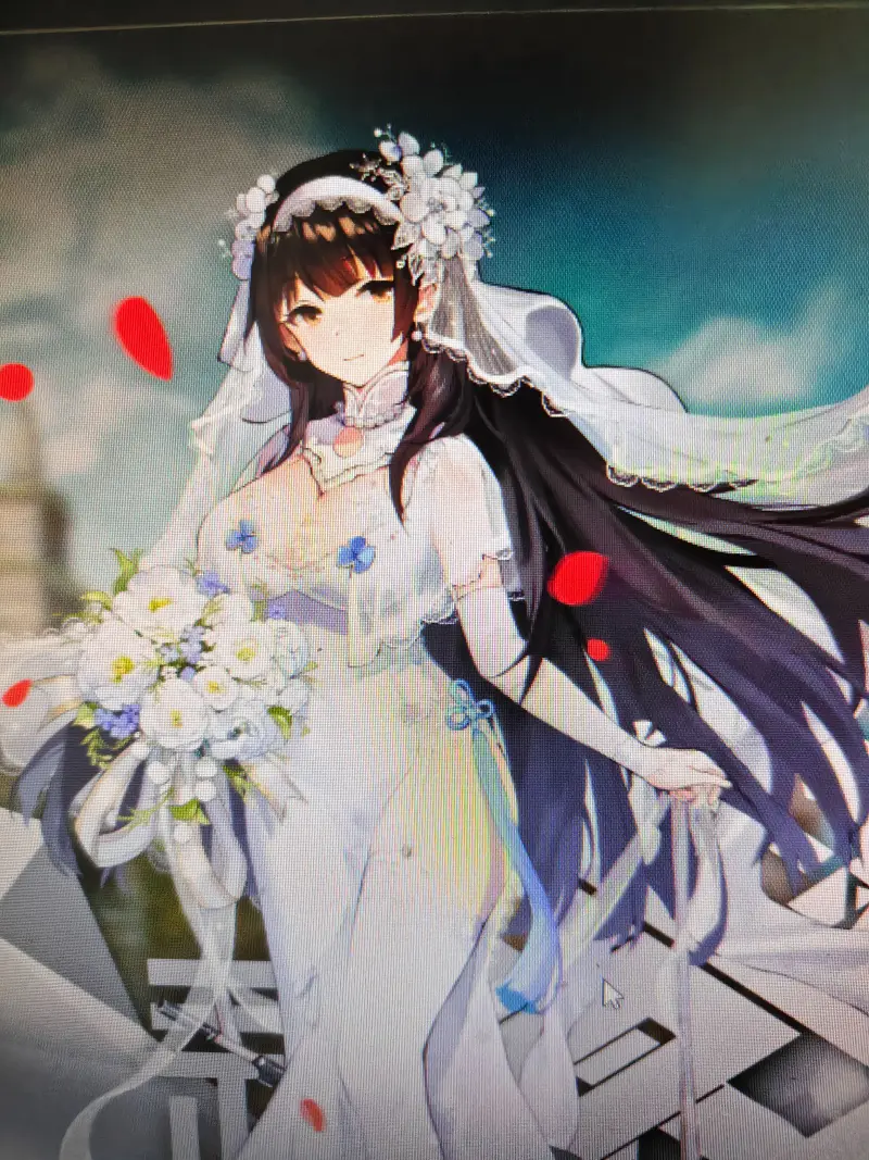 我又又又结婚了