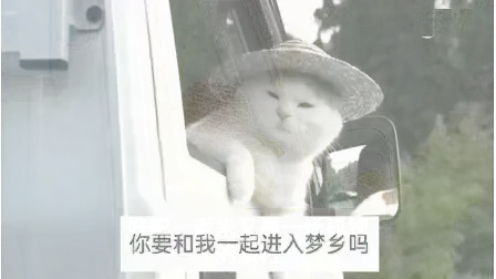 幻影坦克,测试,幻坦,kemomimi,こいし