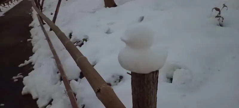 诗