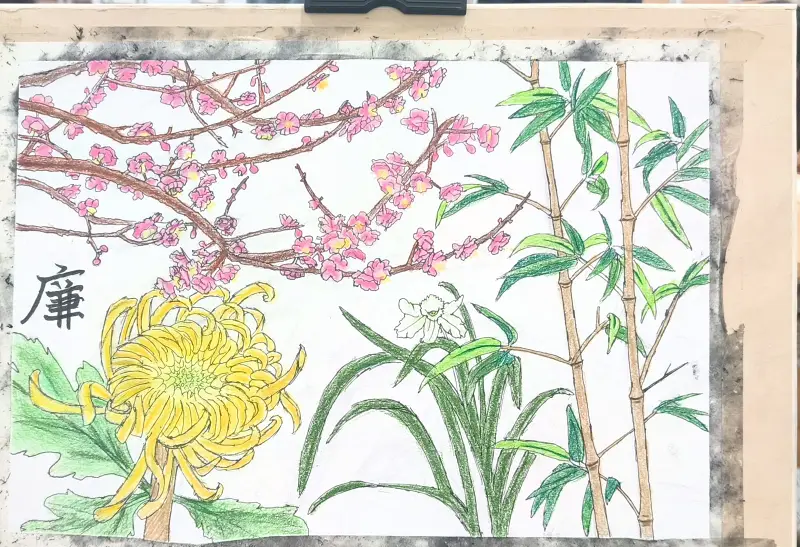 绘画,彩铅,速写,植物