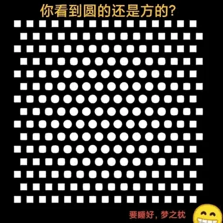动图,GIF,meme