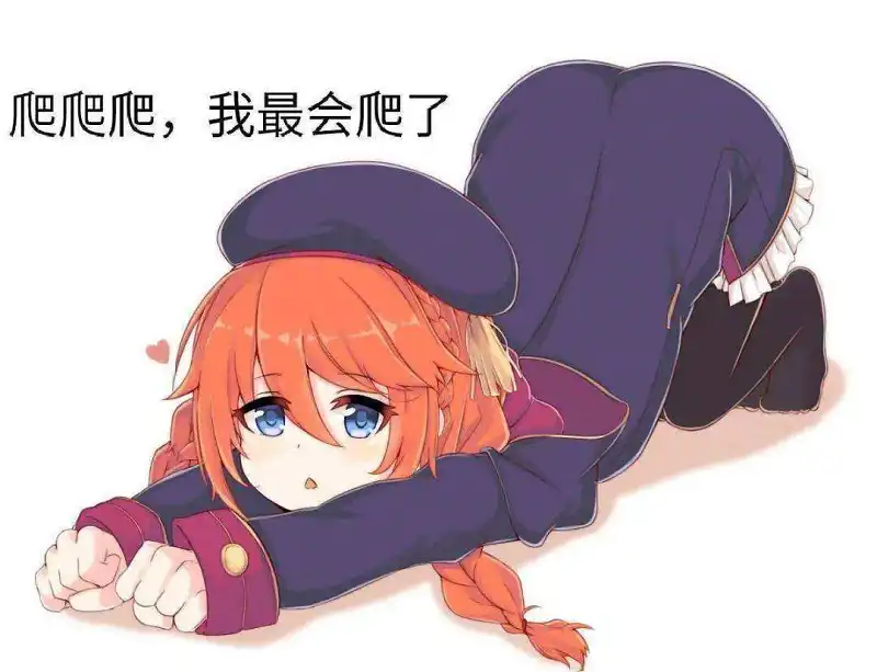 新人报道,用户交流
